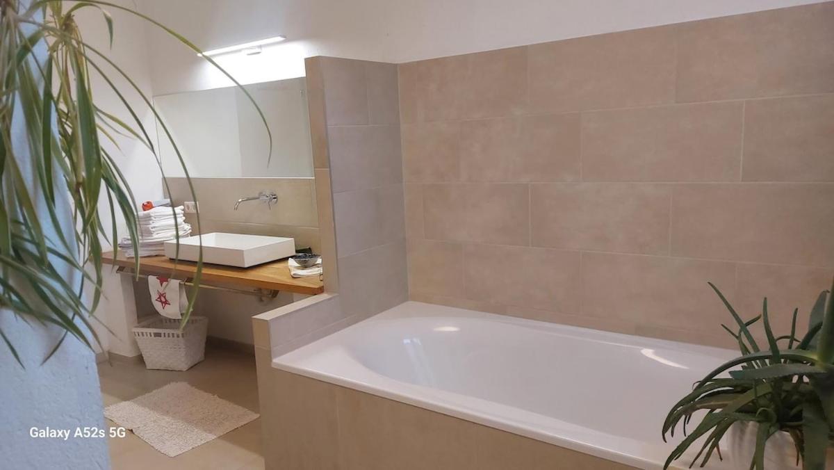 Appartement Freiraum